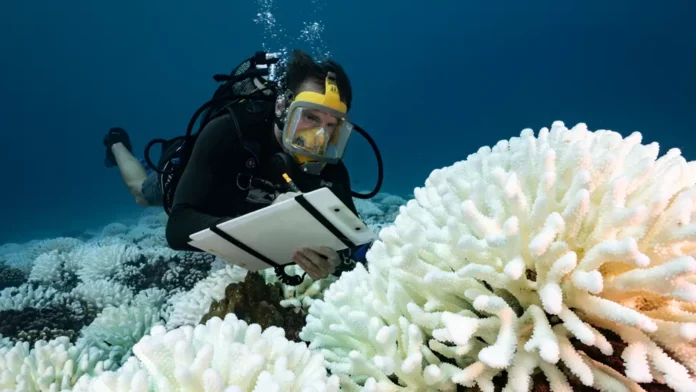 imagine subacvatica cu un om care masoara temperatura oceanelor
